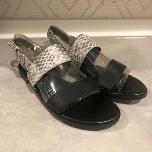 Logo Taylor snake skin print and black sandals womens size 8